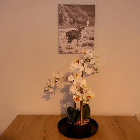 Key Apartamento